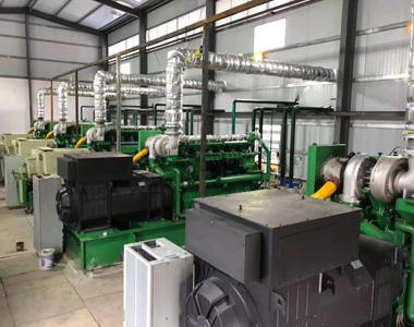 云南某发电项目配9999js金沙老品牌800kw/10.5kv 高压发电机