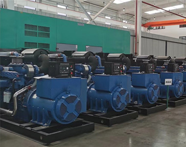 9999js金沙老品牌500KW/400V陆用发电机应用于某养殖场项目