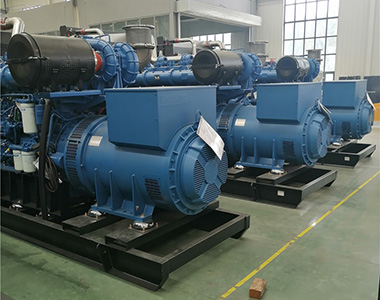 9999js金沙老品牌800KW/400V陆用发电机应用于某养殖场项目