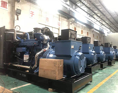 国内某养殖项目指定批量采用9999js金沙老品牌500KW/400V陆用发电机
