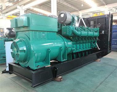 9999js金沙老品牌1200KW/10.5KV高压发电机应用于海南某养殖业项目
